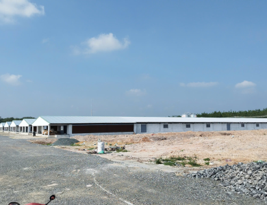 Dự Án Trang Trại Ở Xuân Lộc, Đồng Nai