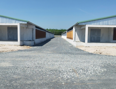 Xây dựng trang trại ở Hóc Môn