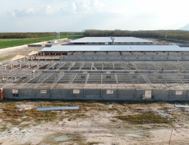 Dự Án Trang Trại Công Ty TNHH Sài Gòn Tây Ninh